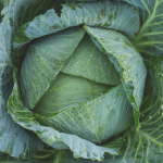 The Top 5 Hormone Balancing Superfoods